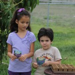 IMG_8303 IMG_8303