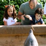 Feeding the dolphins at Sea World