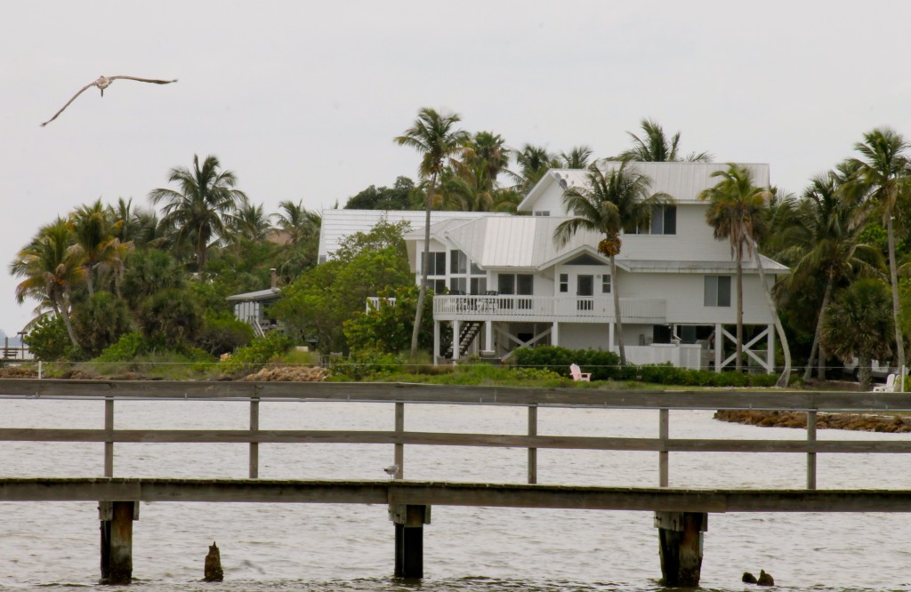 Island Architecture & Pelicans