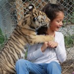 tiger child girl