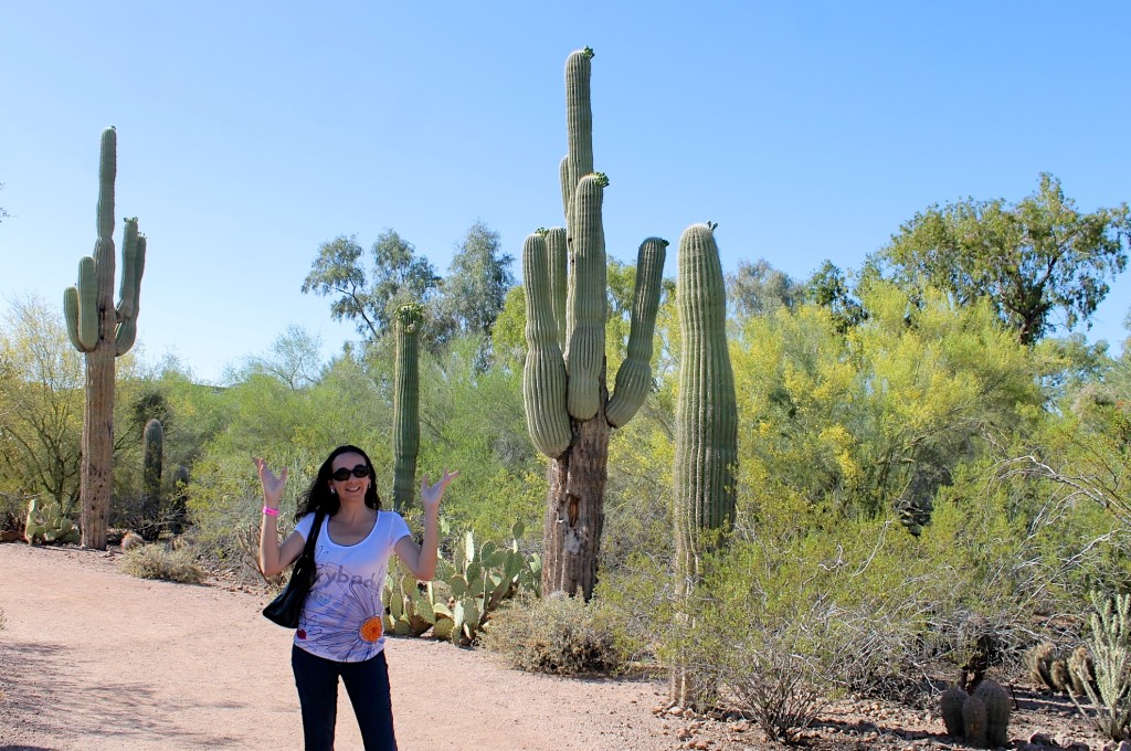 Desert Botanical Garden