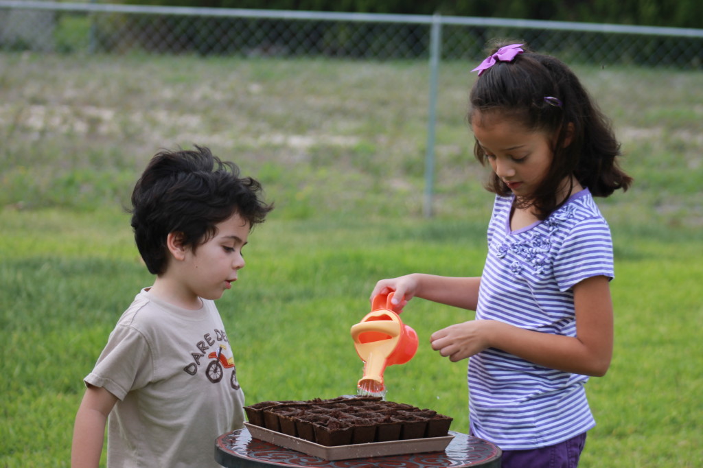niños plantando semillas