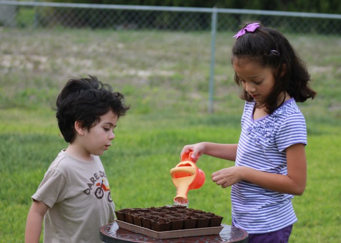 niños plantando semillas