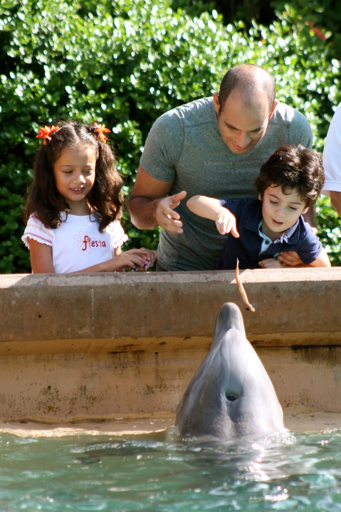 Feeding the dolphins at Sea World