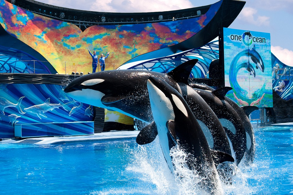 is seaworld free on your birthday