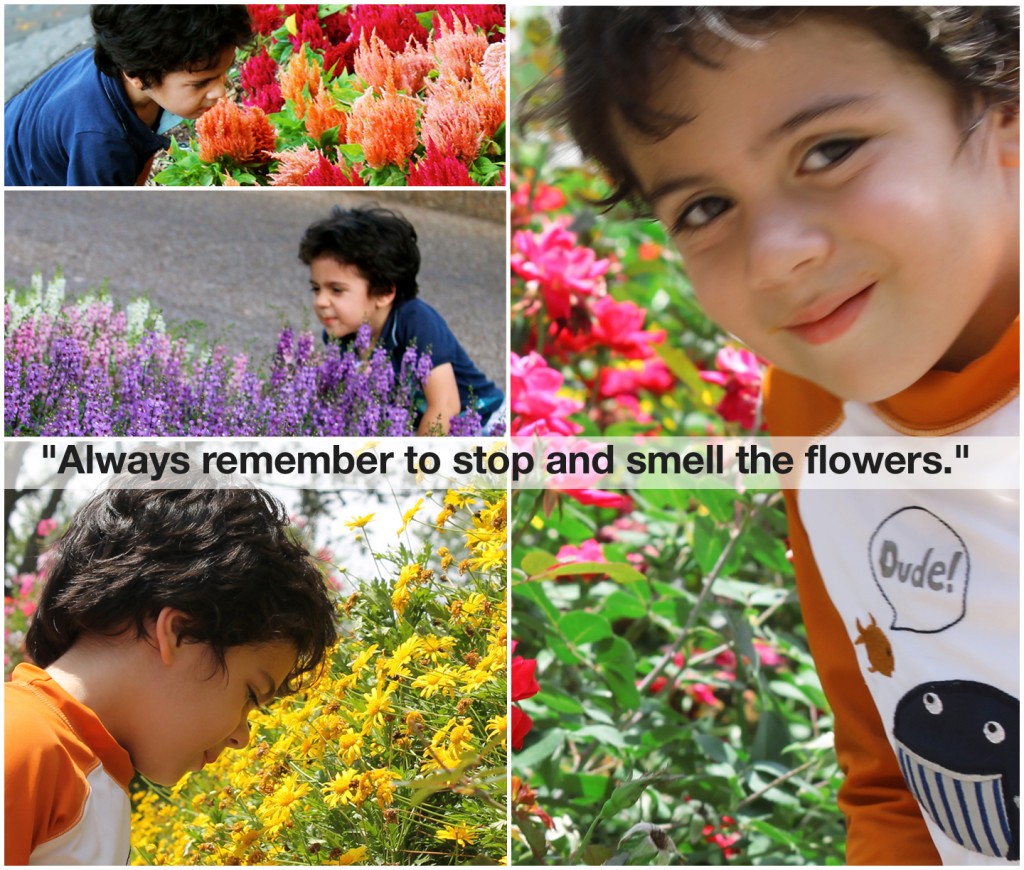 Stop and smell the Flowers1