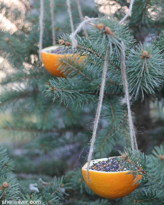 Orange bird feeder. Photo: Donuts, Dresses and Dirt 