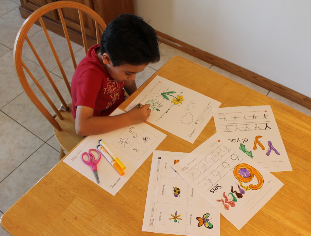 My little guys keeping busy this summer by working on his Spanish.
