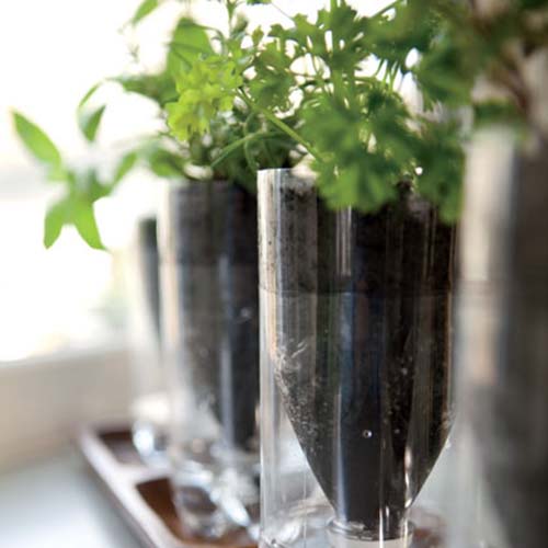 Self watering recycled bottle herb planters. Photo: Spooful. 