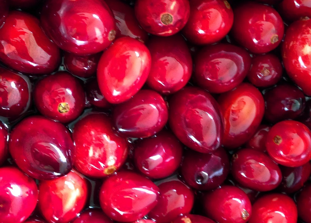 fresh cranberries