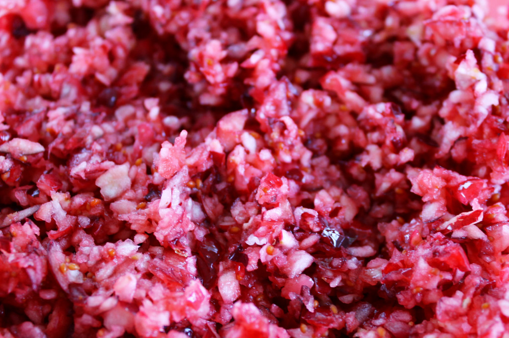 fresh cranberry salsa