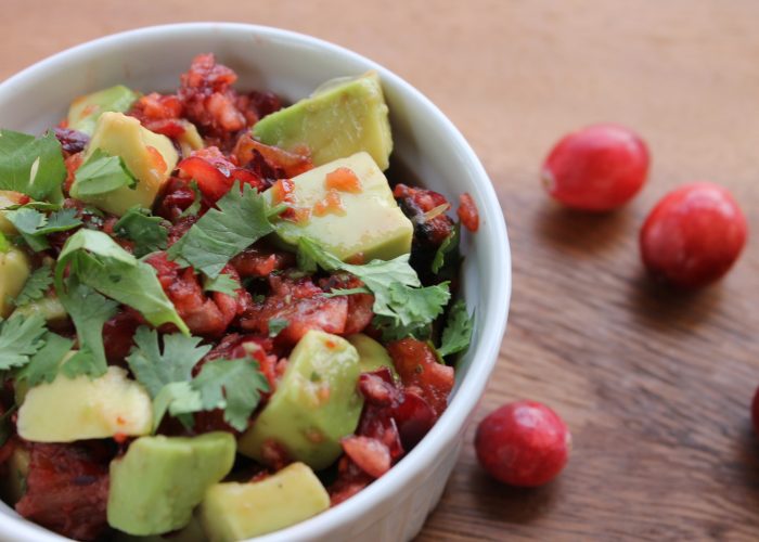 cranberry avocado salsa