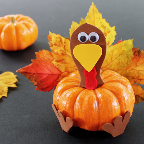 Thanksgiving Pumpkin Turkey Craft for Kids