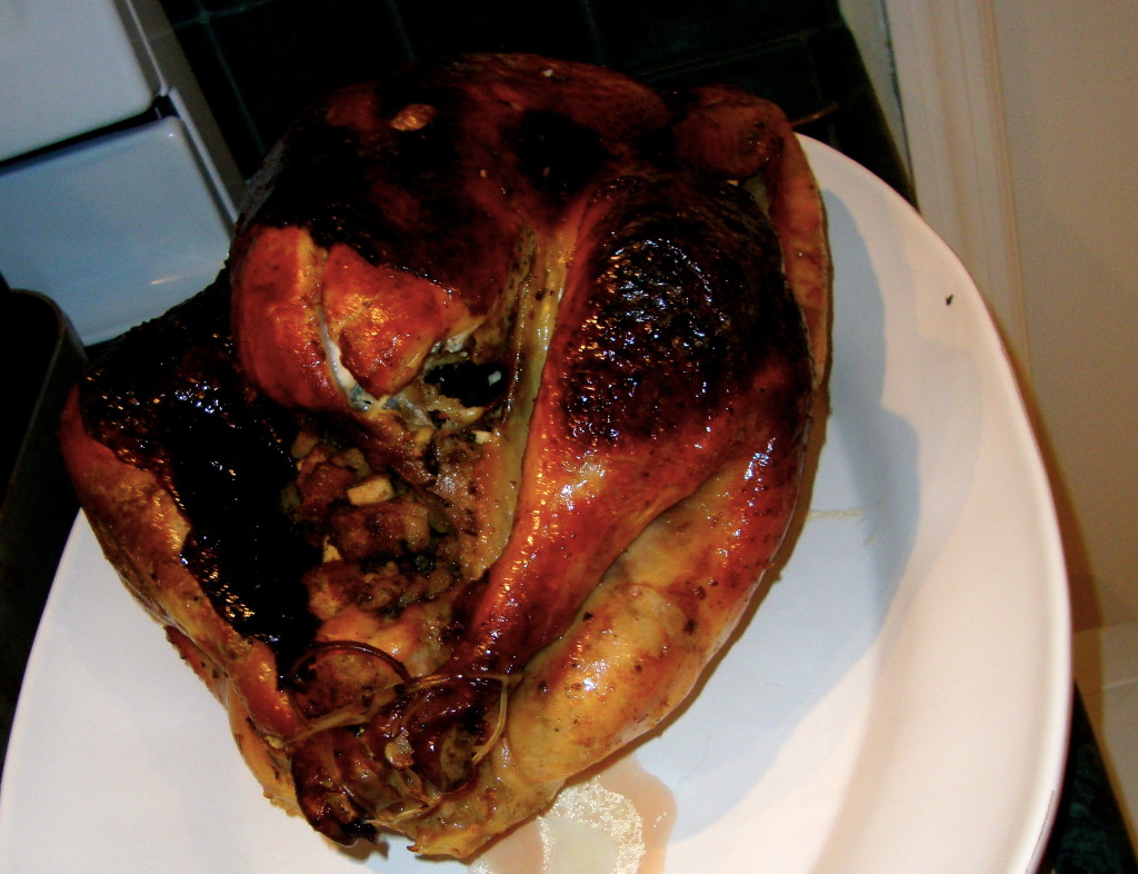thanksgiving burned turkey #shop