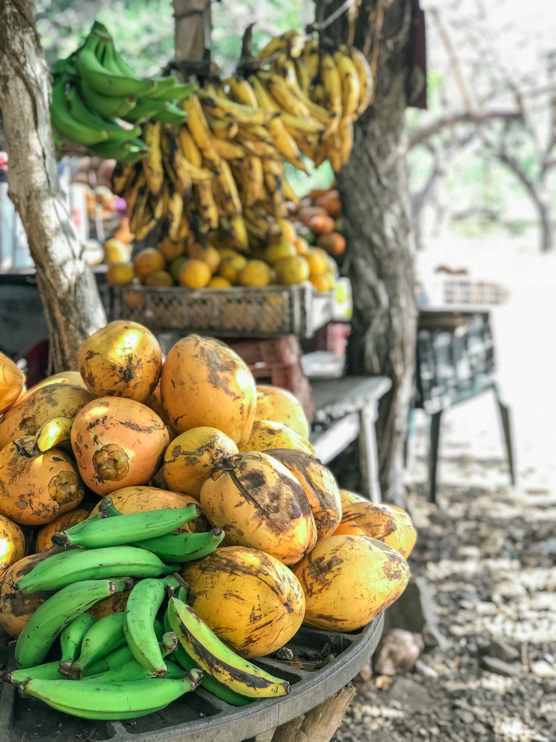 Guatemalan outdoor market with fruit bananas and coconuts