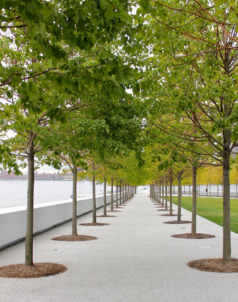 View throughout the rows of trees towards the south point of the island and the at Four Freedoms Park.