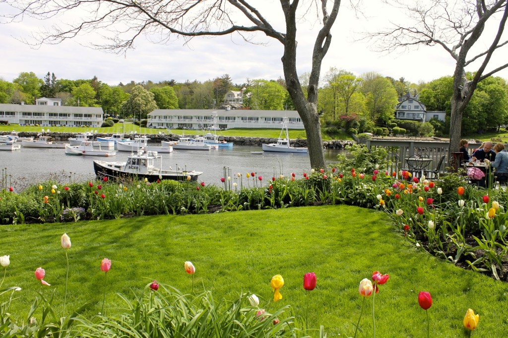 Ogunquit Maine in the spring.  tulips flowers picturesque town