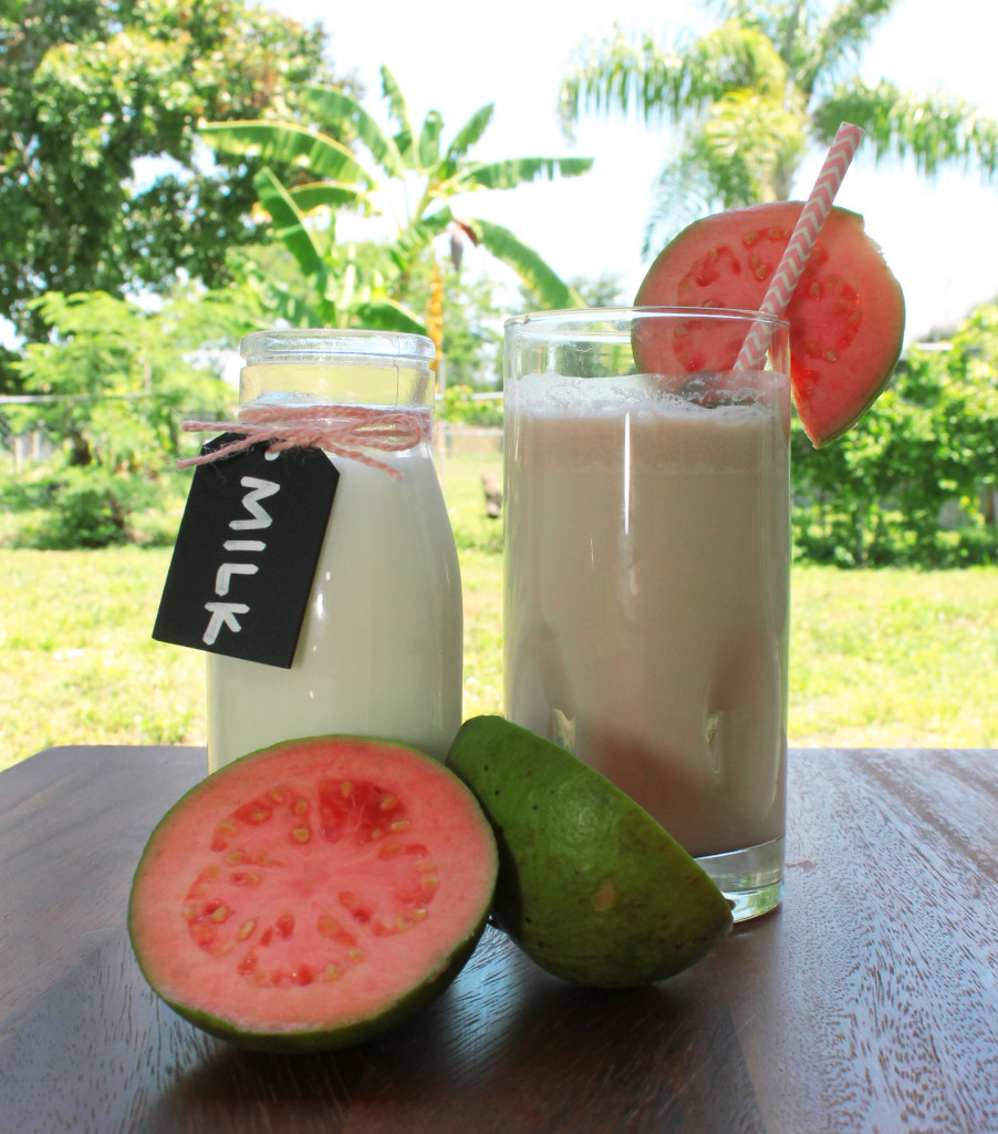 quick, easy, Healthy guava and strawberry smoothie.