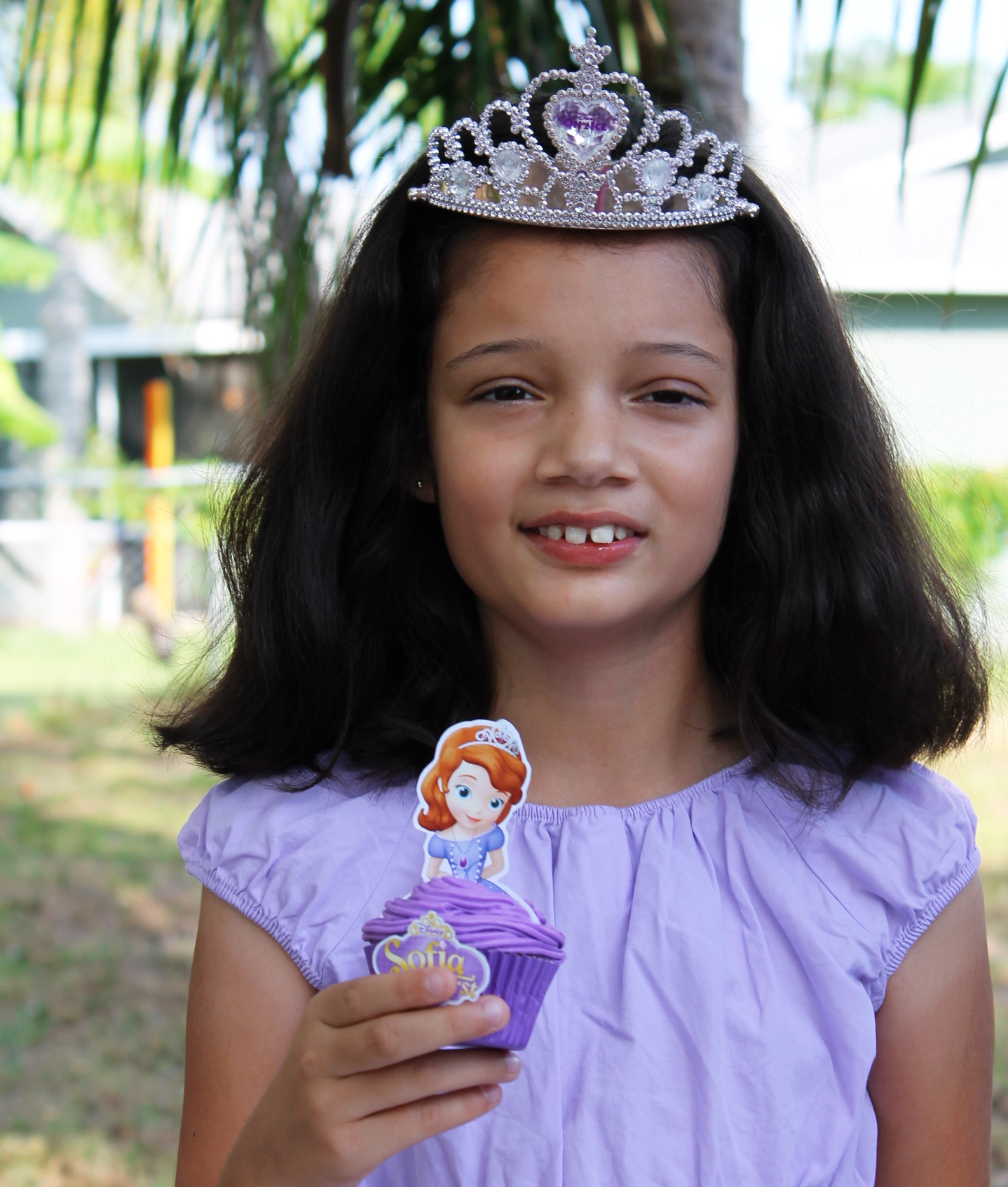 Disney Sofia the First Party Cupcake