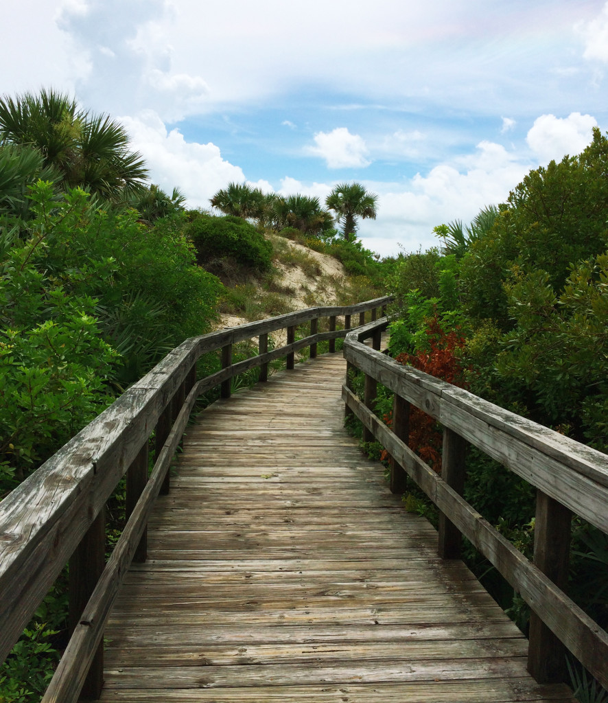 Running at DunesPark at New Smyrna Beach, FL