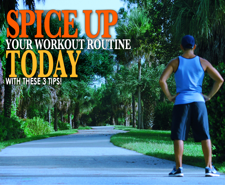 Workout Routine