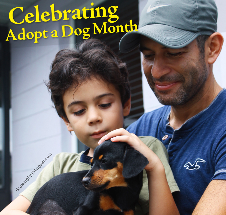 Celebrating Adopt a Dog Month