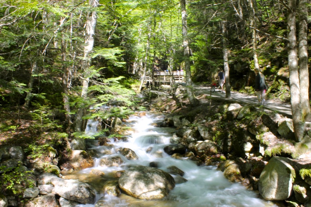 trail to Flume Gorge in Franconia Notch park