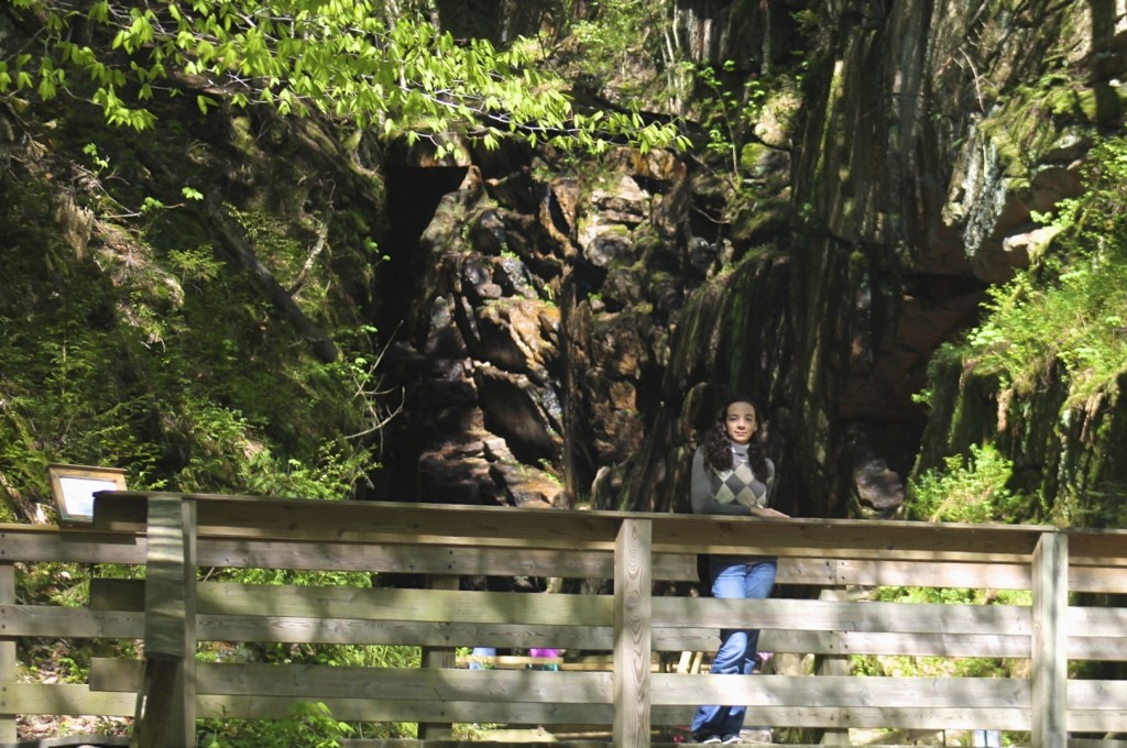 Flume Gorge at Franconia Notch park