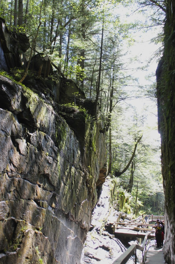 Flume Gorge at Franconia Notch park