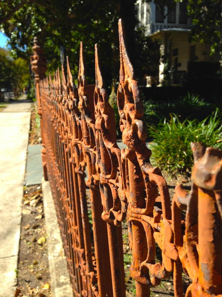 wrought iron fence in King William San Antonio