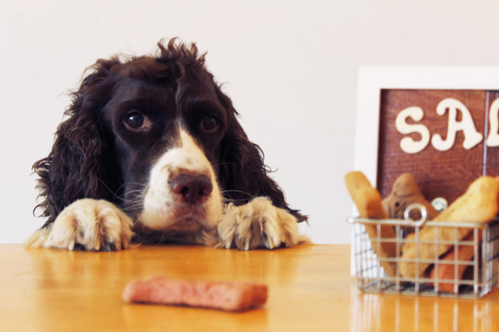 Sally can't wait for her treats!