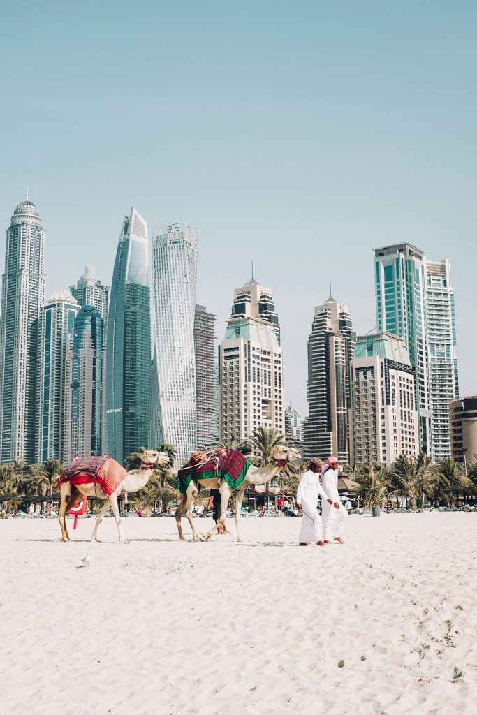 Jumeirah Beach Residence (JBR) public beach in Dubai with camels and Dubai Marina skyline
