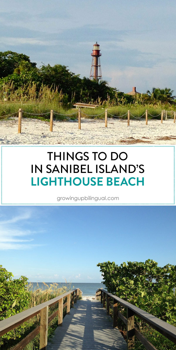 Things to do in Sanibel's Lighthouse Beach