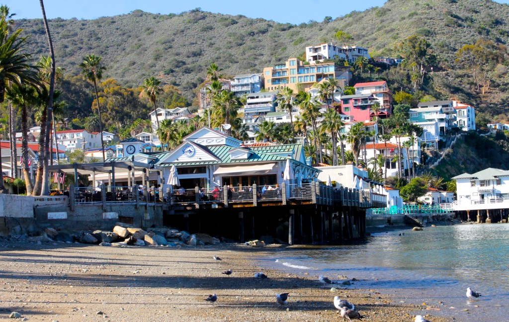 Santa Catalina Islanda Avalon Bluewater Grill Restaurant