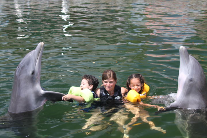 Swimming with dolphins in Key Largo