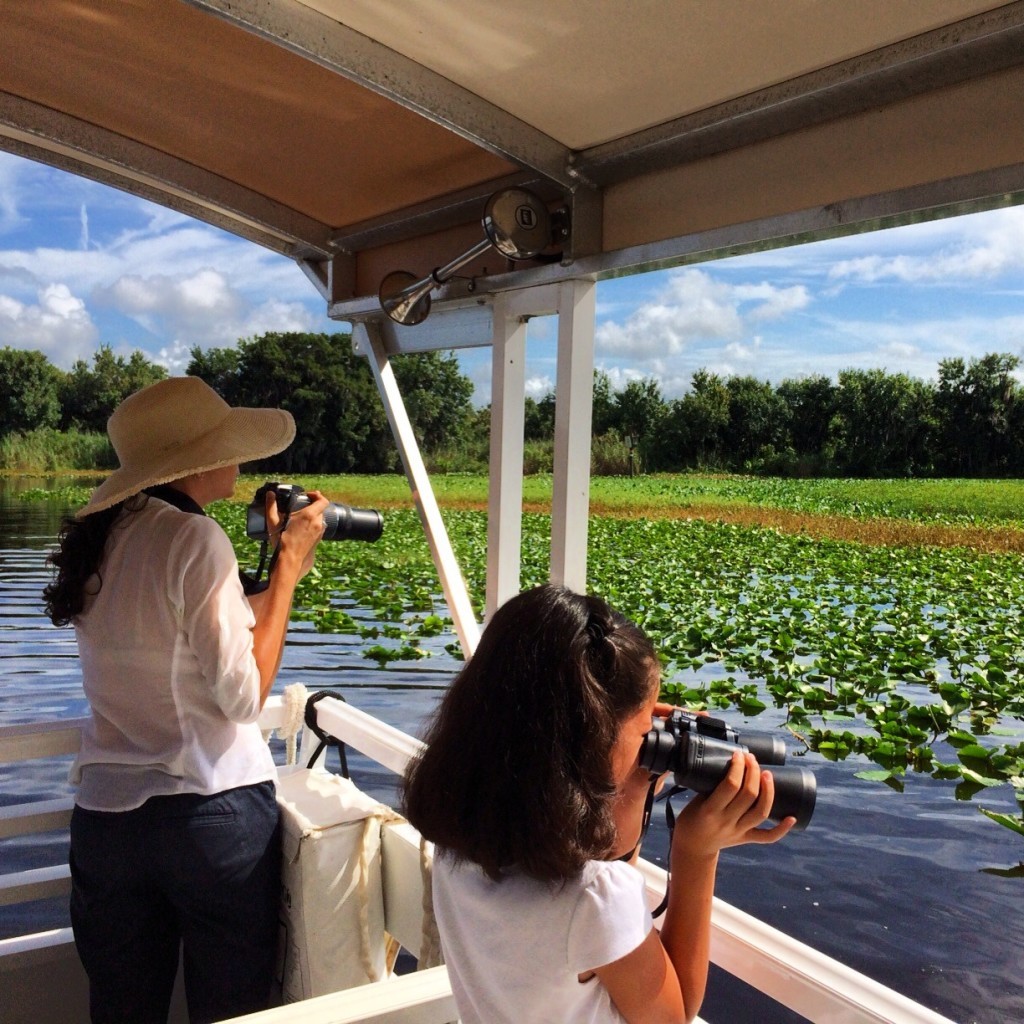 Wildlife watching at the St Johns River. 