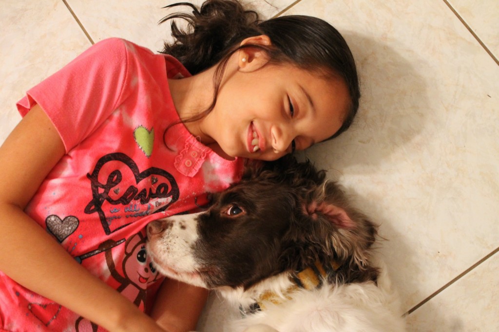 girl with her dog, Springer Spaniel