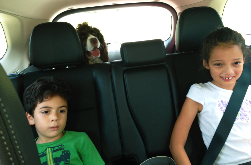 Road trip with kids and dog