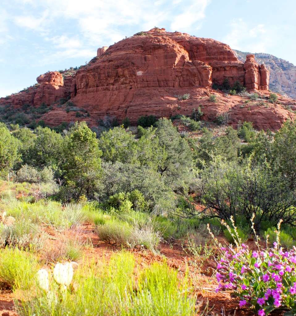 Sedona Red Rocks