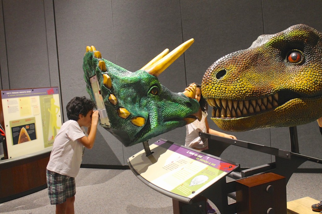 Florida Museum of Natural History