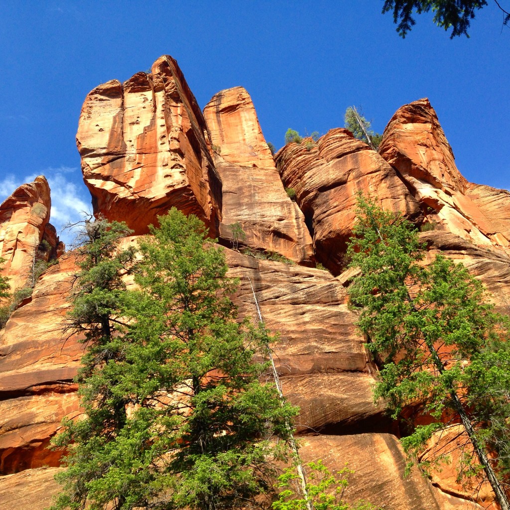 Canyon walls at West Fork trail in Sedona