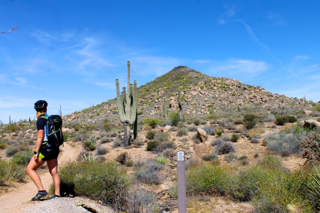 Mounting biking with Arizona Outback Adventures