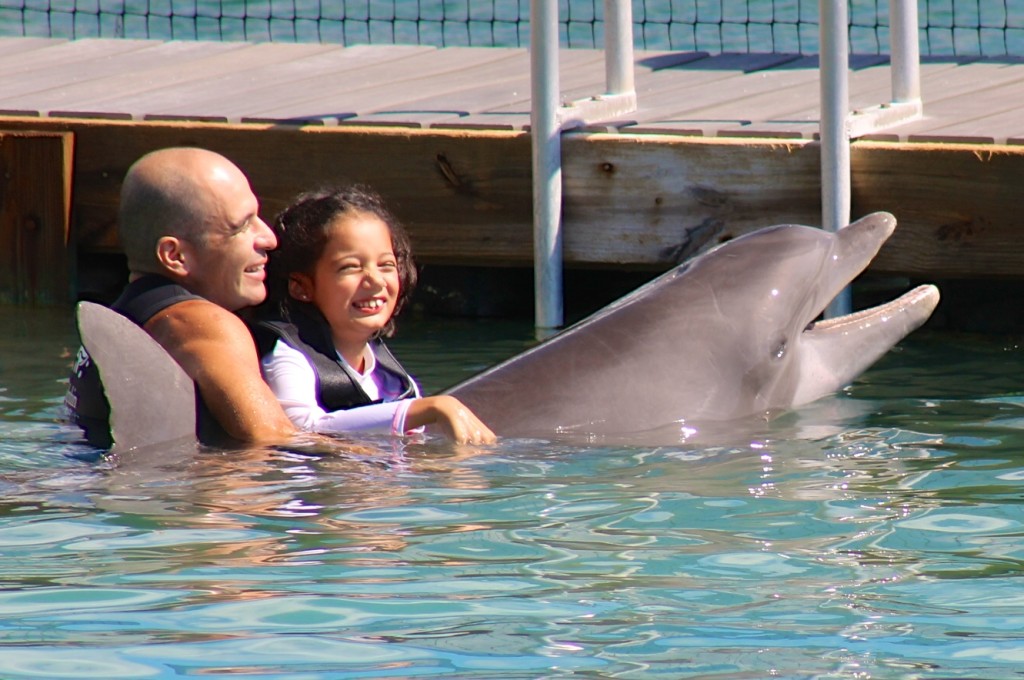 Swimming with dolphins at Hawk's Cay