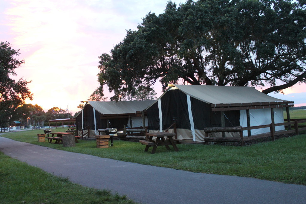 glamping in westgate river ranch