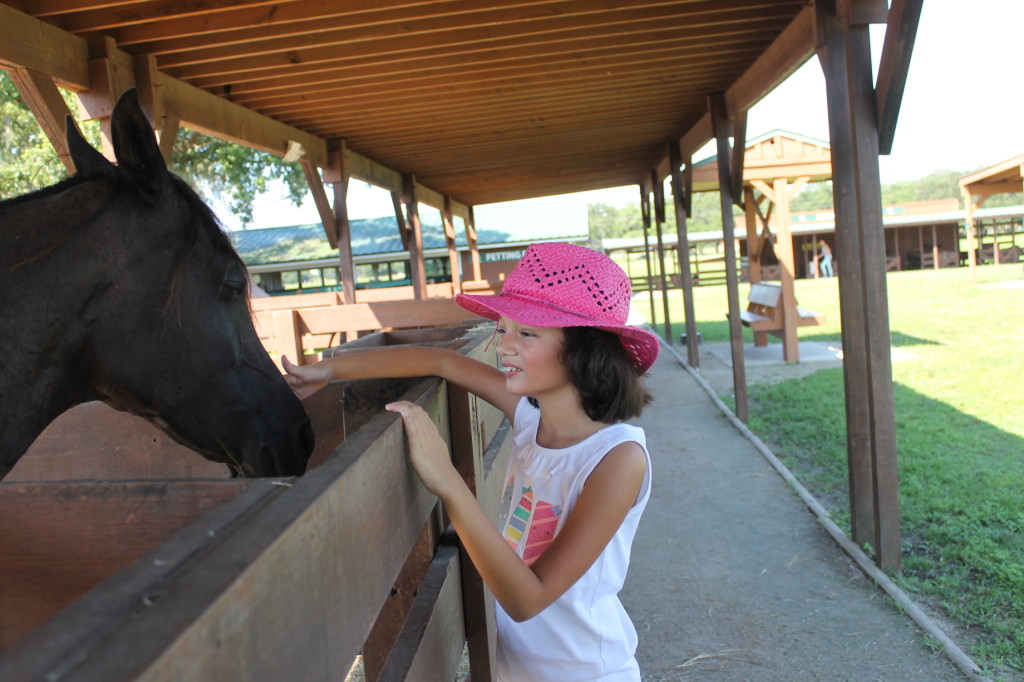 Petting farm at Westgate River Ranch