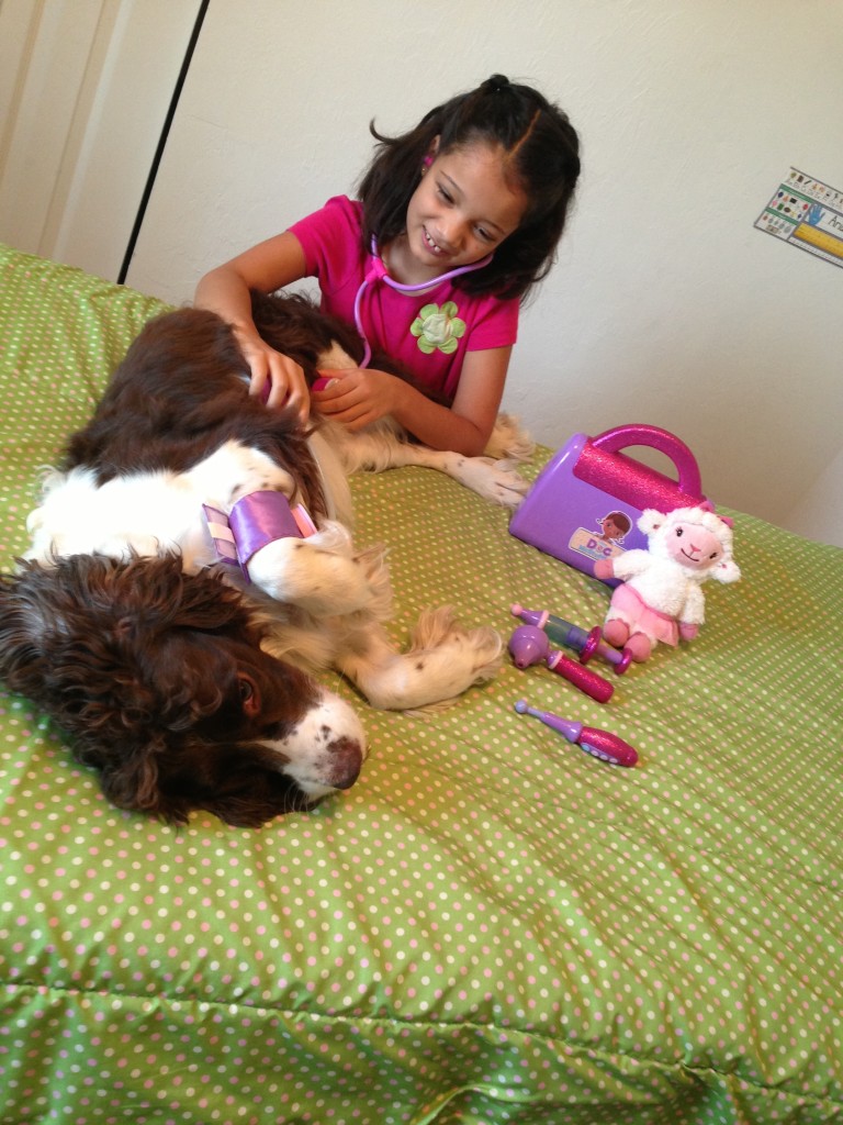 playing doctor with dog