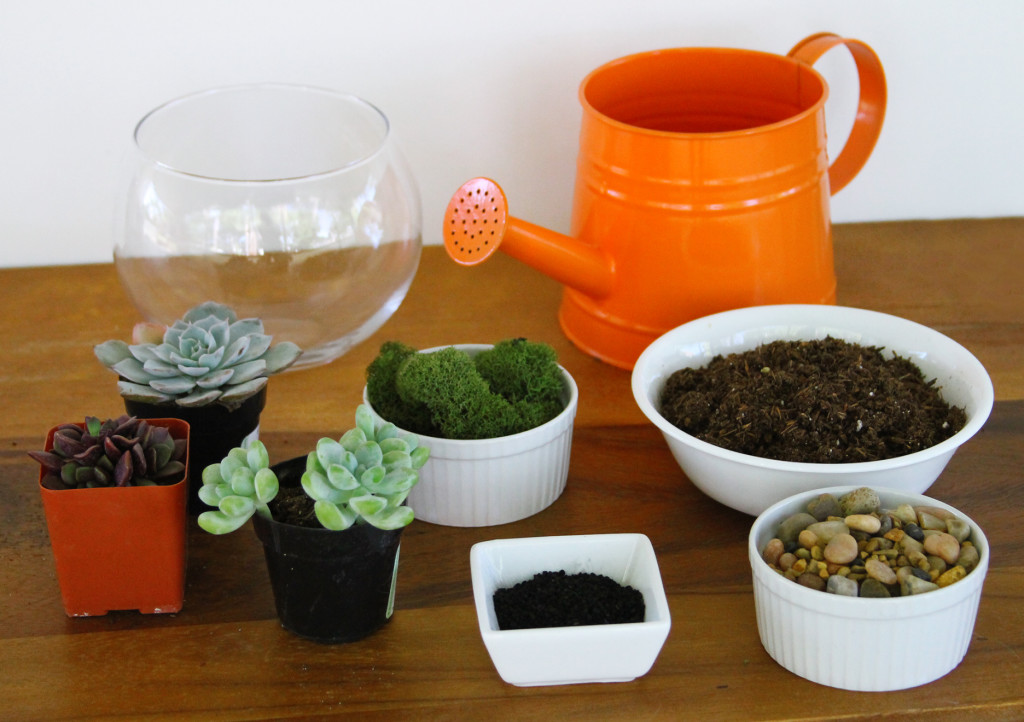 Materials for terrariums