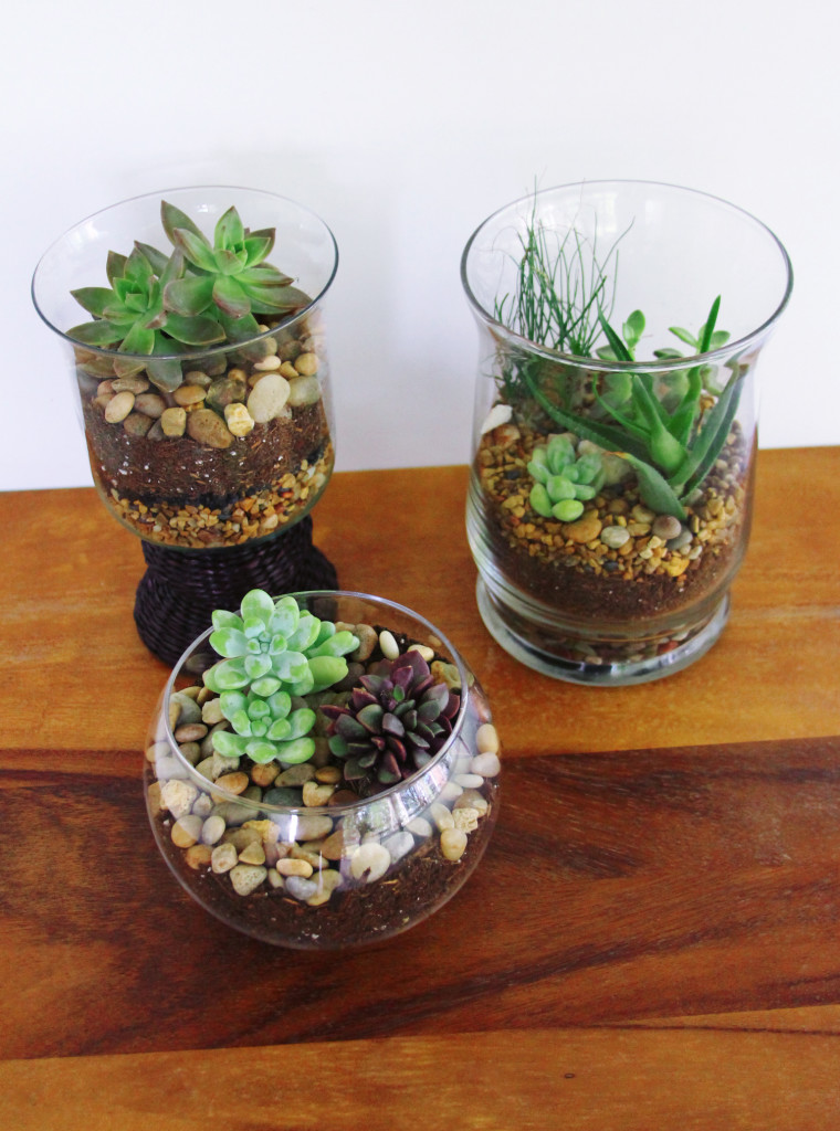 easy to make terrarium