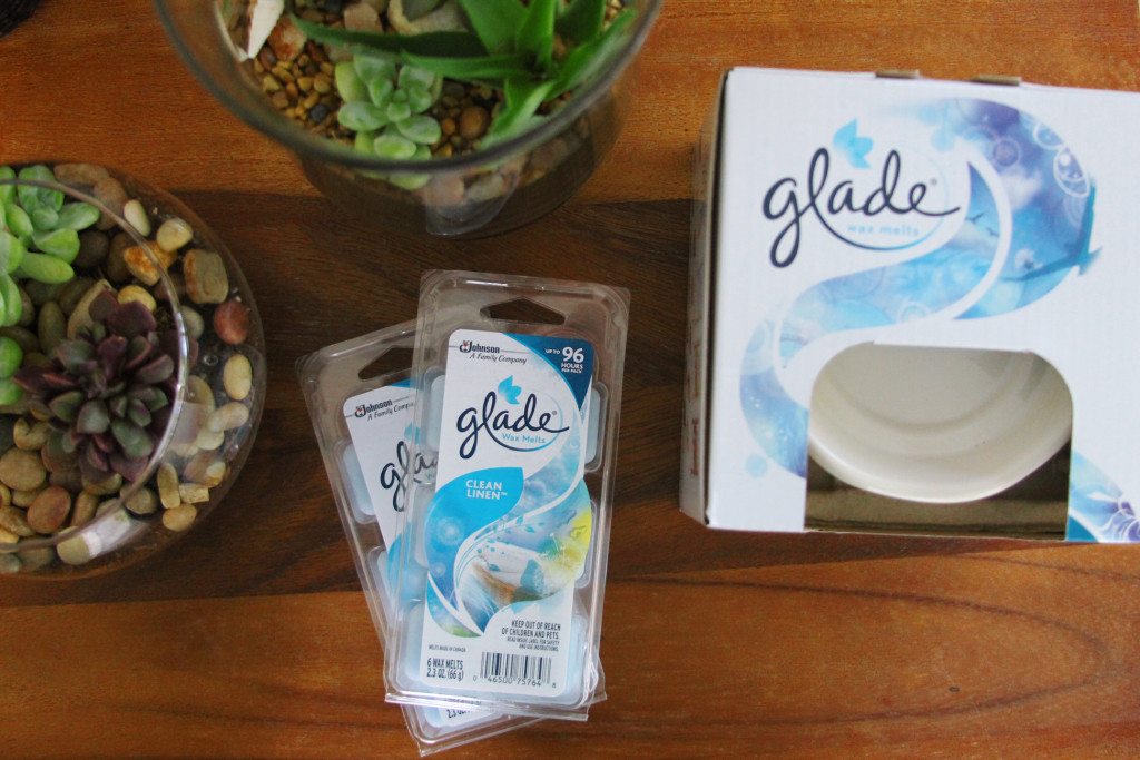 Glade with terrarium