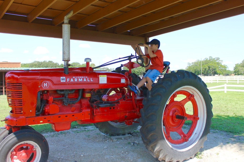 Learning about life on a ranch at Westgate River Ranch